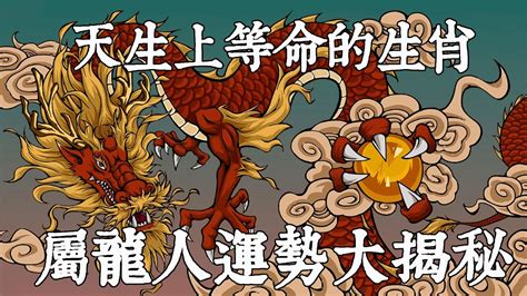 龍 年出生的人|屬龍人的性格